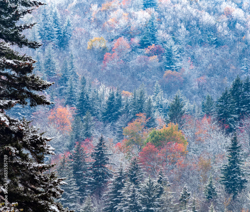 Fall and Winter come together in Pisgah National Forest in North Carolina photo