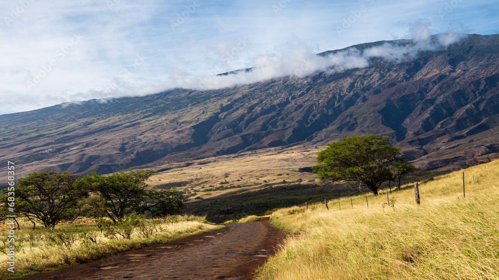 Slopes of the Haleakala Volcano in southern Maui, Hawaii