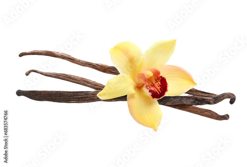 Vanilla pods and yellow flower isolated on white