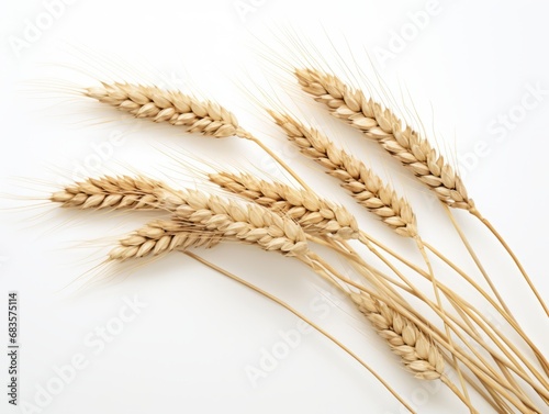 Experience the Stunning Simplicity: White Wheat Ears Isolated on a Crisp White Background Generative AI