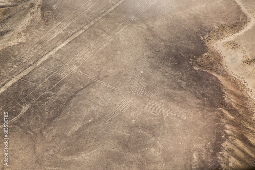 View of nazca Line: The humingbird photo