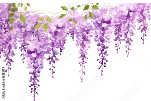 Plant floral background spring purple garden blooming blossom flowers nature violet blue wisteria