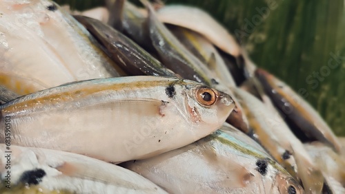 Fresh yellowstripe scad fish sold in supermarket  photo