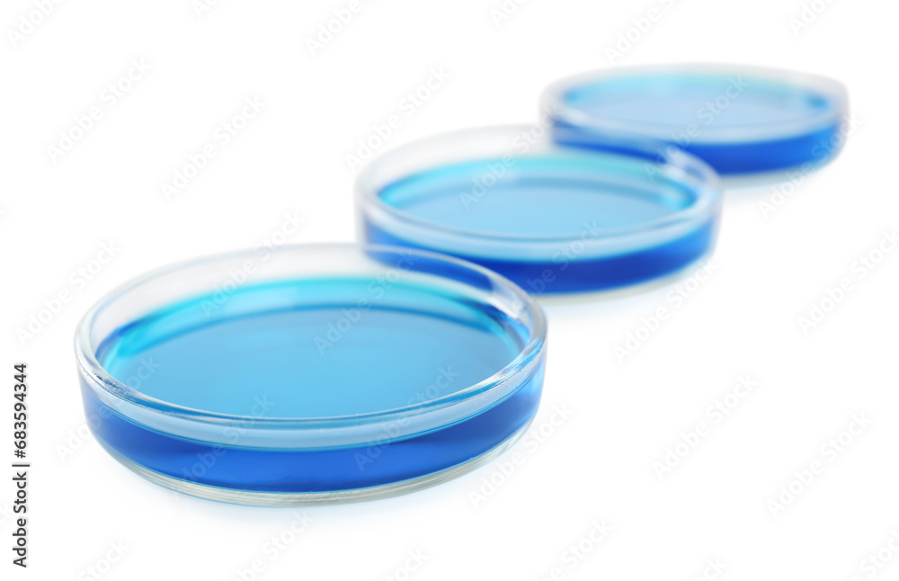 Petri dishes with light blue liquid on white background, closeup Petri dishes with light blue liquid on white background, closeup
