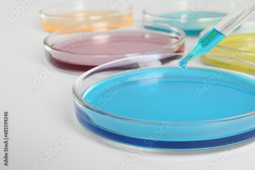 Dripping light blue liquid into Petri dish on white background, closeup