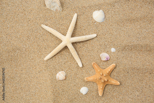 Beautiful starfishes and seashells on sand, flat lay