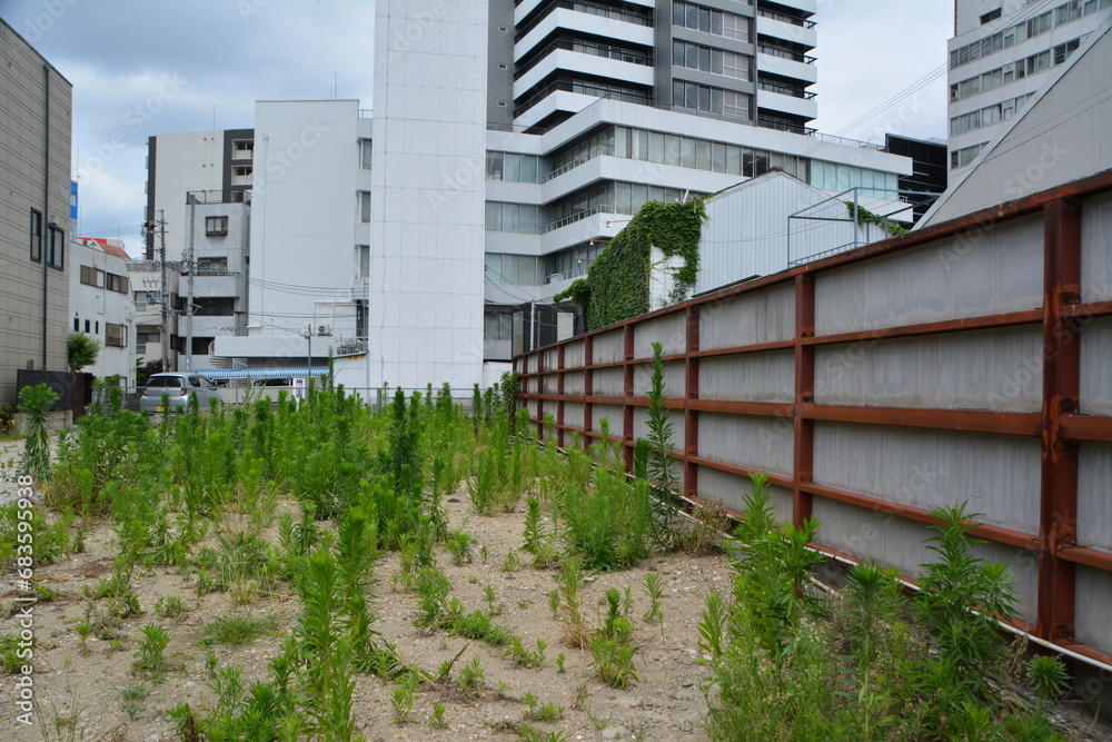Obraz premium 空地