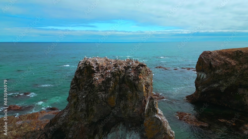 Top view of rocky cliff with seagulls on seascape background. Clip. Seagulls sit on top of rocky cliff in sea. Beautiful rocky cliff on north coast with seagulls on background of sea horizon