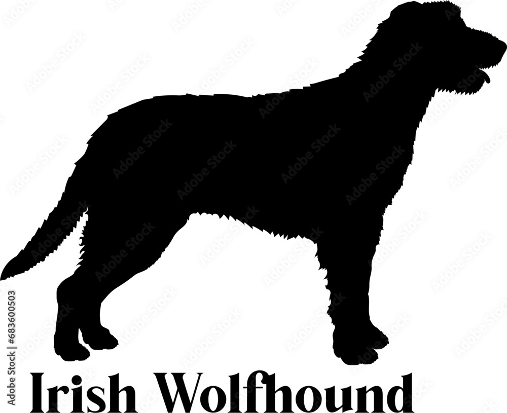  Irish Wolfhound Dog silhouette dog breeds logo dog monogram logo dog face vector
SVG PNG EPS