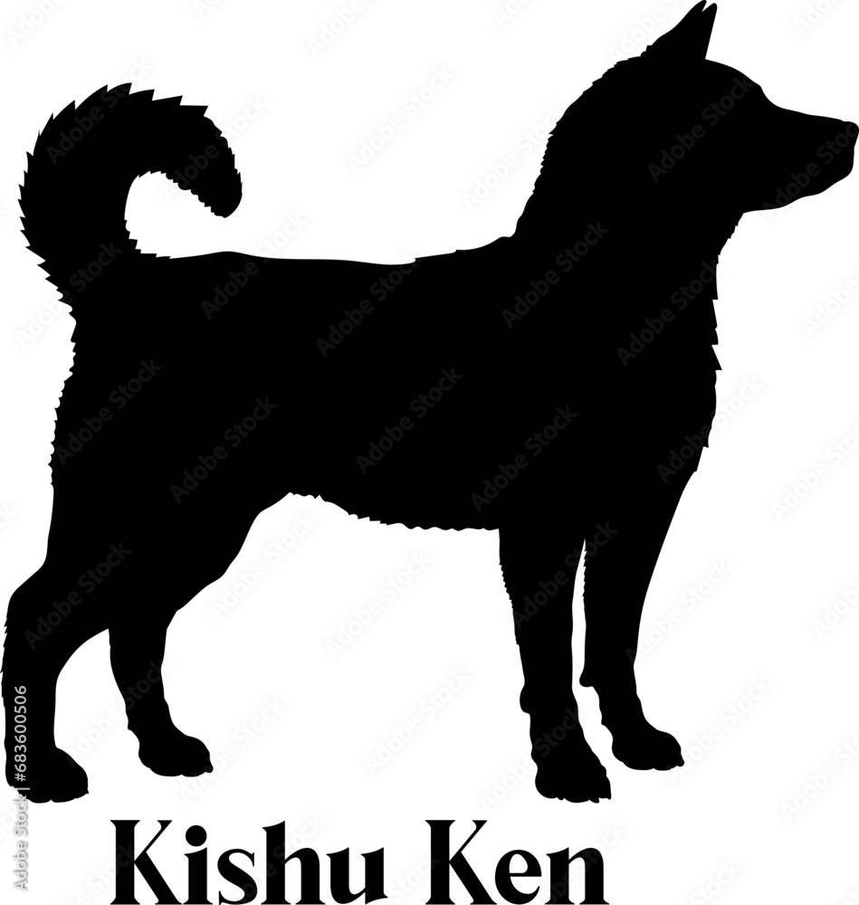 Kishu Ken. Dog silhouette dog breeds logo dog monogram logo dog face vector
SVG PNG EPS