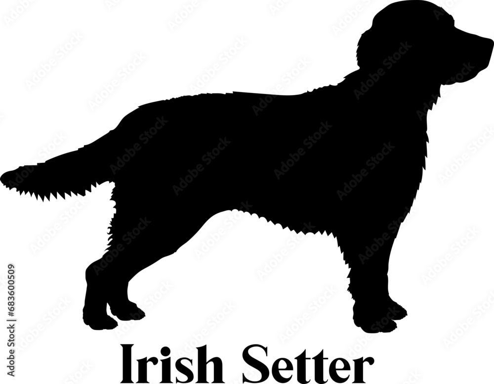 Irish Setter. Dog silhouette dog breeds logo dog monogram logo dog face vector
SVG PNG EPS