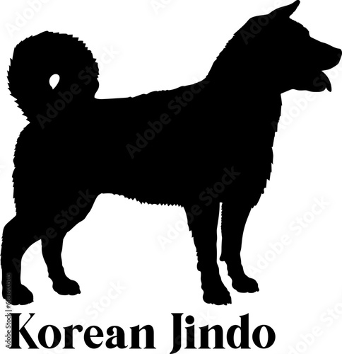 Korean Jindo Dog silhouette dog breeds logo dog monogram logo dog face vector
SVG PNG EPS