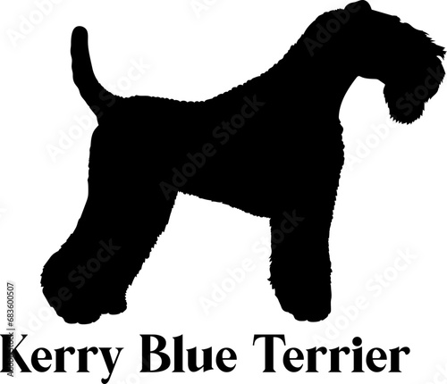 Kerry Blue Terrier. Dog silhouette dog breeds logo dog monogram logo dog face vector
SVG PNG EPS