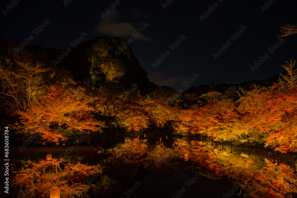 Fototapeta premium 池を囲むライトアップされた紅葉