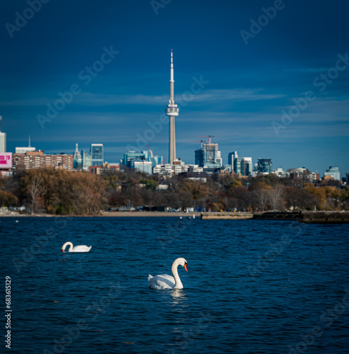 Skyline with geese