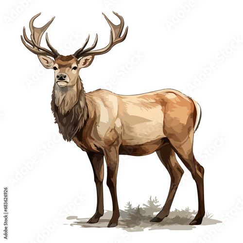 Red deer animal in cartoon style on transparent background, Cervus elaphus Stiker design