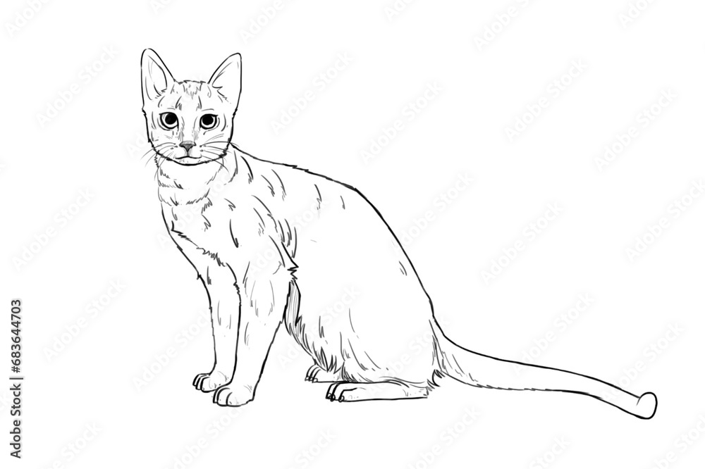 hand drawn sketch of a cat hand drawn sketch of a cat