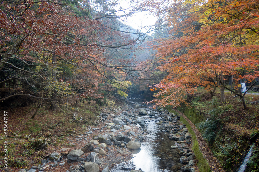武奈ヶ岳の登山道
