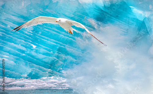 Knud Rasmussen Glacier near Kulusuk with seagull flying - Greenland, East Greenland photo