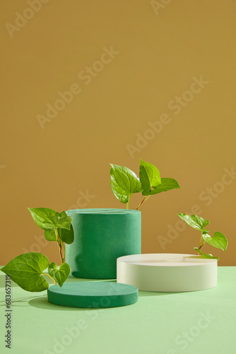 Geometric shape podiums are arranged on pastel green surface. Fish mint leaves featured. Minimal podium display for cosmetic product presentation photo