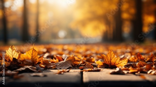 Children Park Autumn Leaves Selective Focus, Wallpaper Pictures, Background Hd 