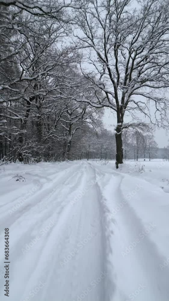 Smooth flight over snowy country road in a cold winter. Smooth flight over snowy country road in a cold winter.
