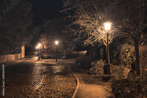 Street in Night - Strasse - Kopfsteinpflaster - Gasse - Laterne - Dunst - Nebel - Licht - Baruth - Deutschland - Brandenburg