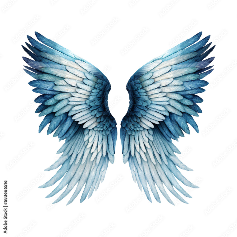Obraz premium transparent angel wings In navy, gray, light blue, and white colors