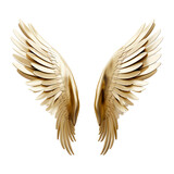  Bronze tone angel wings isolated in the transparent background