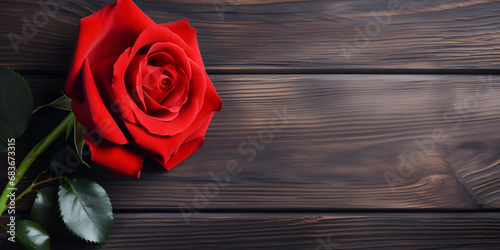 single red rose wooden bakground luxury wallpaper