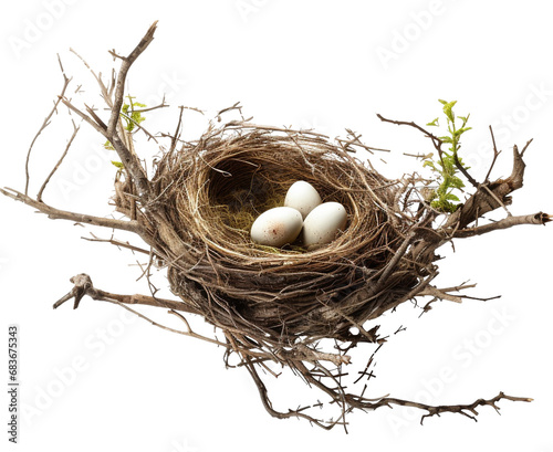 Bird nest png straw nest png birds nest png nest in tree branch png bird's nest png nest in the tree fowl nest png bridie nest png birds nest transparent background photo