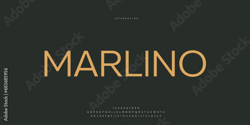 Elegant Font Uppercase Lowercase and Number. Classic Lettering Minimal Fashion Designs. Typography modern Sen Serif fonts regular decorative vintage concept. vector illustration.