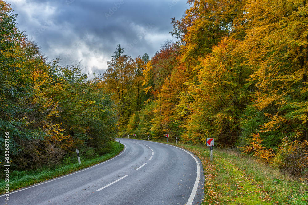 Strasse durch den Wald mit bunter Laubverfärbung Strasse durch den Wald mit bunter Laubverfärbung