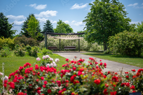 garden in the park