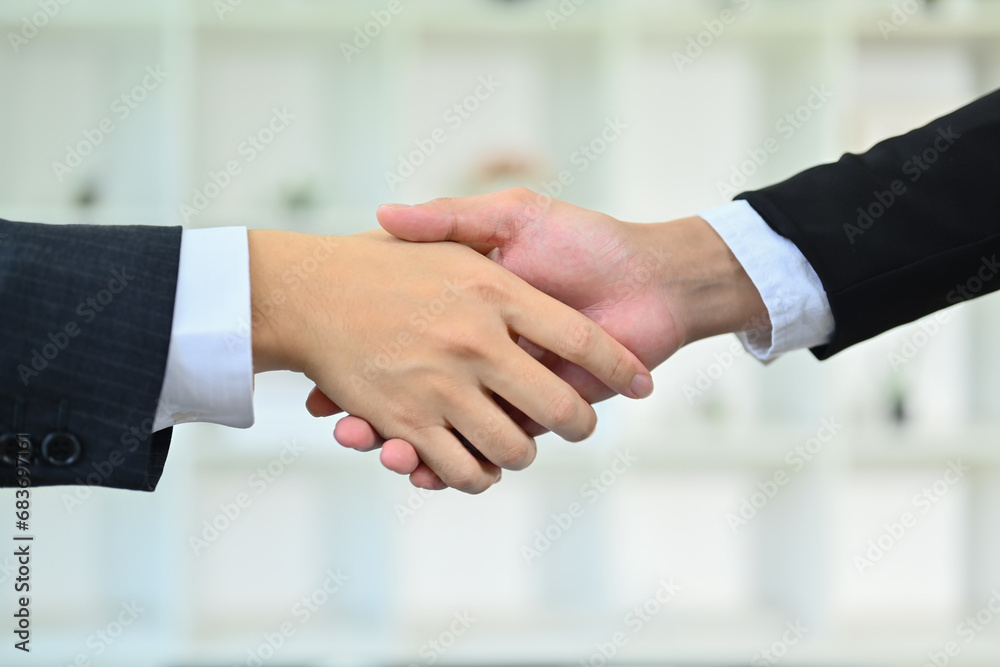 Two professional businessmen executive shaking hands after negotiations or finishing up a meeting