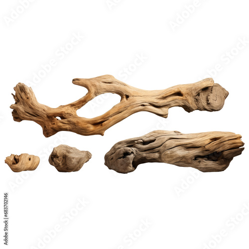 Dry branches textured pieces isolated on transparent background