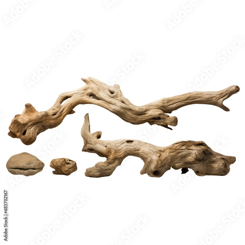 Dry branches textured pieces isolated on transparent background © Atchariya63