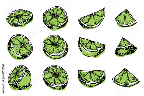 Vector lime clipart. Hand drawn citrus set. Fruit illustration. For print, web, design, decor photo