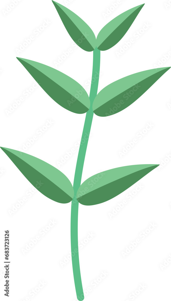 simple plant leaf clipart