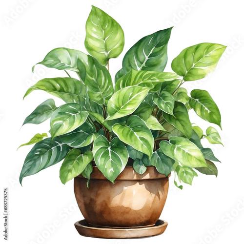 Watercolor illustration of epipremnum aureum plant in the pot. Creative graphics design. Beautiful green houseplant for decoration.   
