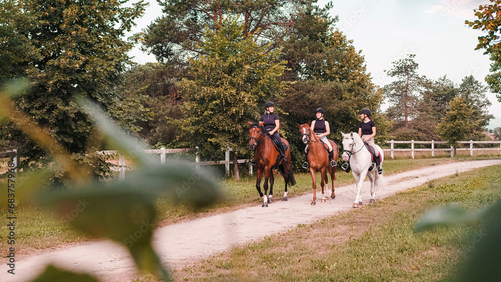 Fototapeta premium Horsewomen riding beautiful horses along the trail at the equestrian center on a bright summer day. Horse gait walks concept.