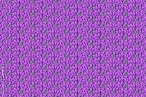 eye purple lavender field background