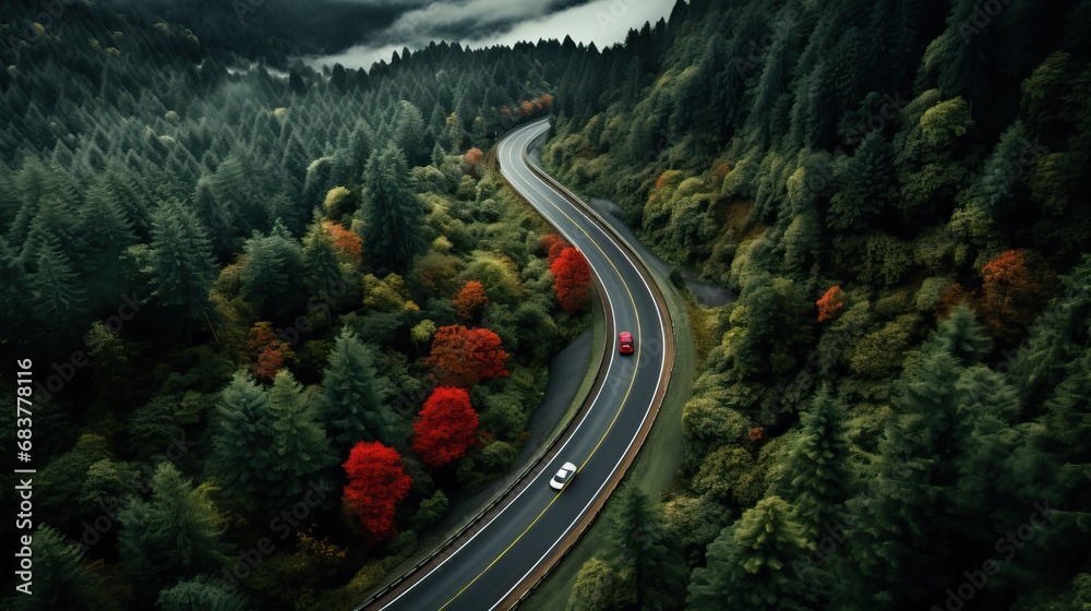 Route sinueuse vu par un drone aérienne dans la forêt canadienne en automne