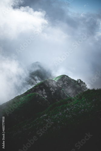 clouds over the mountainsroad in the dark forest green tree mystic forest fog