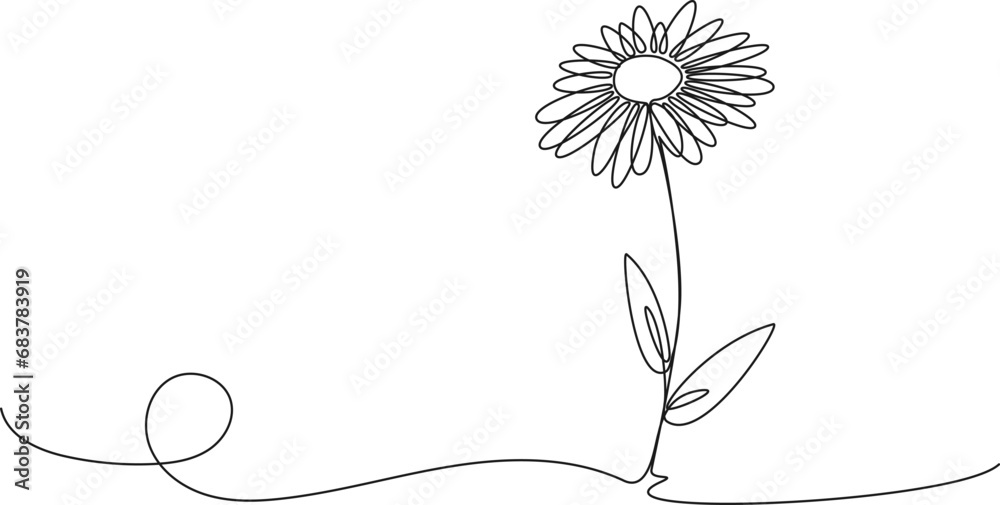 continuous single line drawing of daisy flower, line art vector illustration