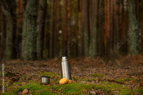 Thermos and cookies on moss in a clearing in a dark pine forest. Hiking and active lifestyle.