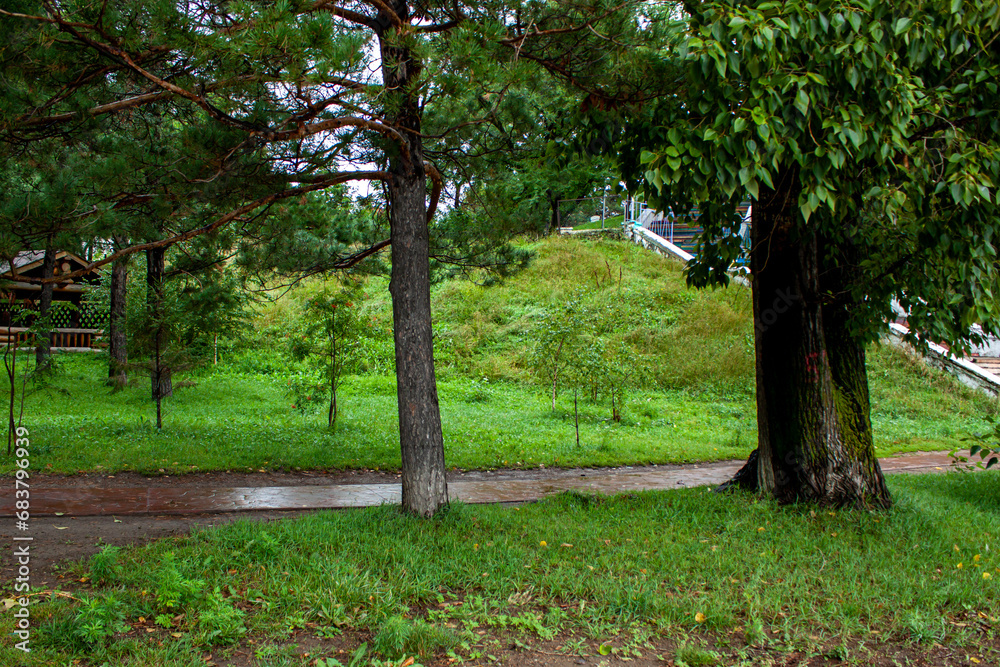 Leisure park area with trees and lawn after rain