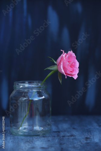 pink rose in a glass