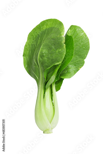 Chinese cabbage png
