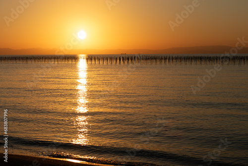 海苔養殖の支柱が並ぶ知多半島の海と夕陽
